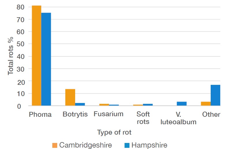 Incidence of rot species observed across three varieties of pumpkin in 2015 in Cambridgeshire and Hampshire. 